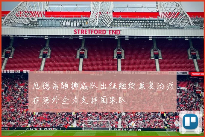 厄德高随挪威队出征继续康复治疗在场外全力支持国家队